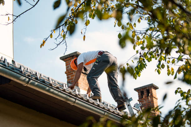 Best Chimney Flashing Repair  in Holts Summit, MO